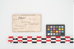 Foto von Eisentüllenbeil (NHMW-PRAE-026041)